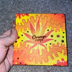 Kara Beauty Orange Pop Eyeshadow Palette!!